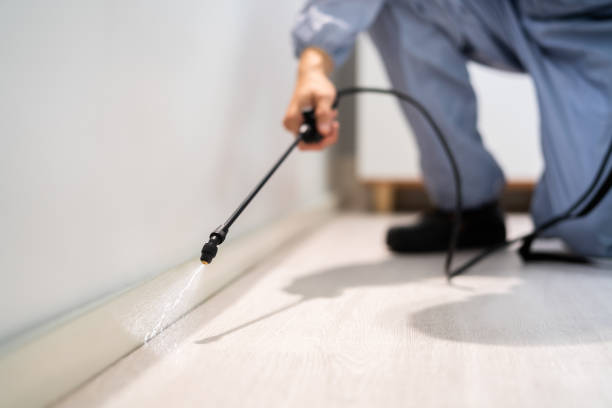 Bed Bug Pre-Treatment Preparation Assessment in Lowesville