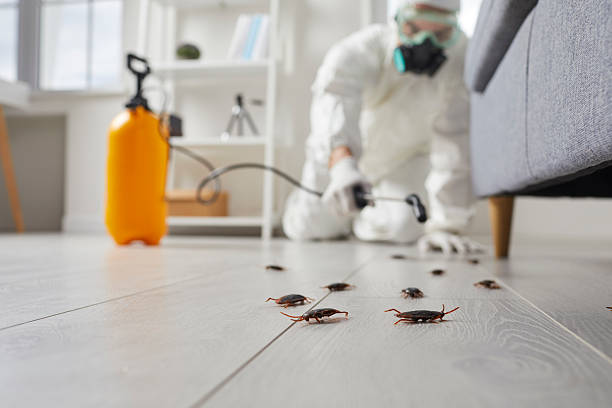 Post-Treatment Bed Bug Interceptor Monitoring in Lowesville