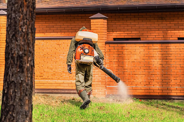 Bed Bug Clearance Verification and Documentation in Lowesville